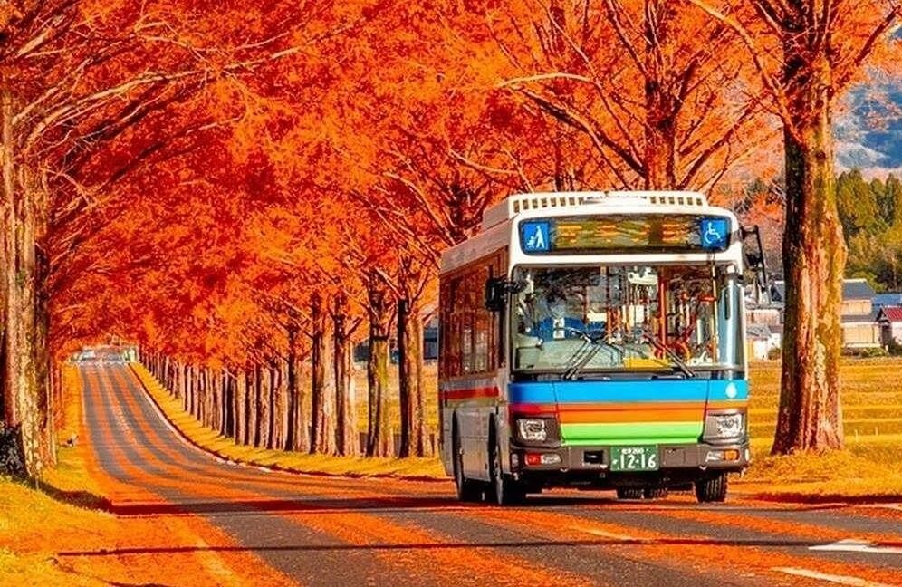 Cẩm nang du lịch Nhật Bản mùa thu